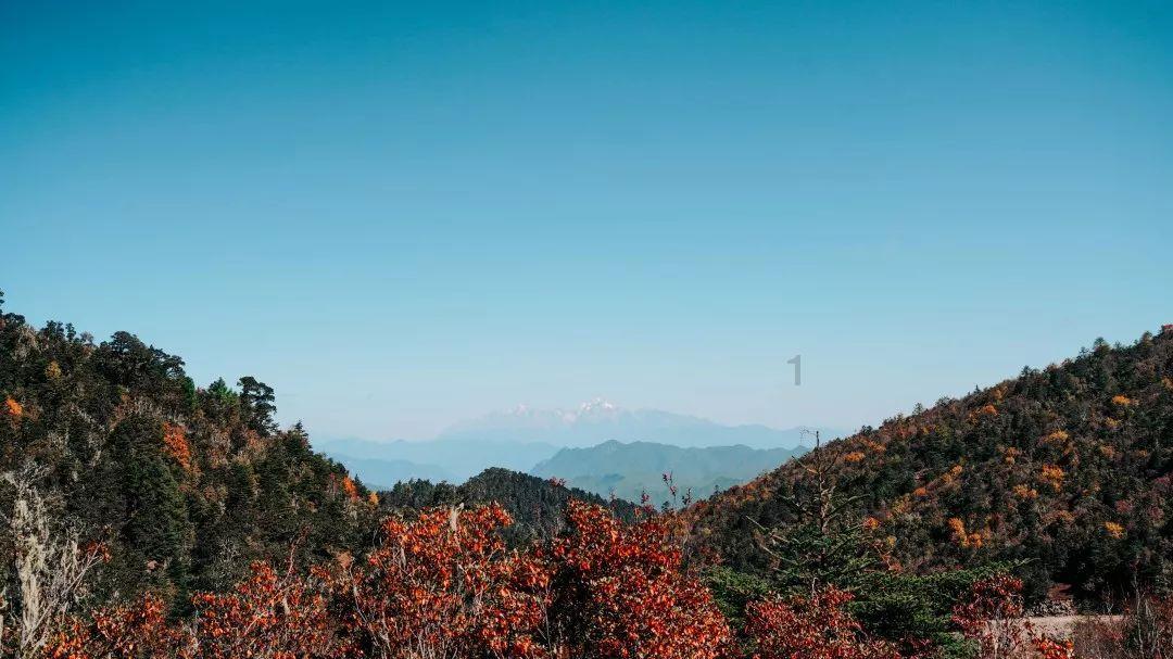 谁知道这部动漫叫什么游戏画面