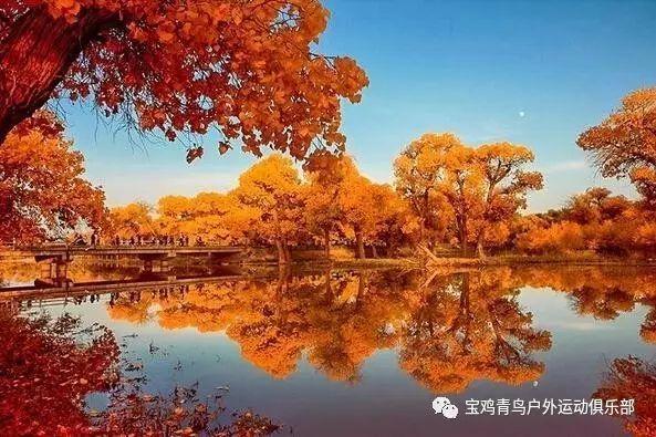 沂水县马站镇开展冬季安全生产隐患大排查行动