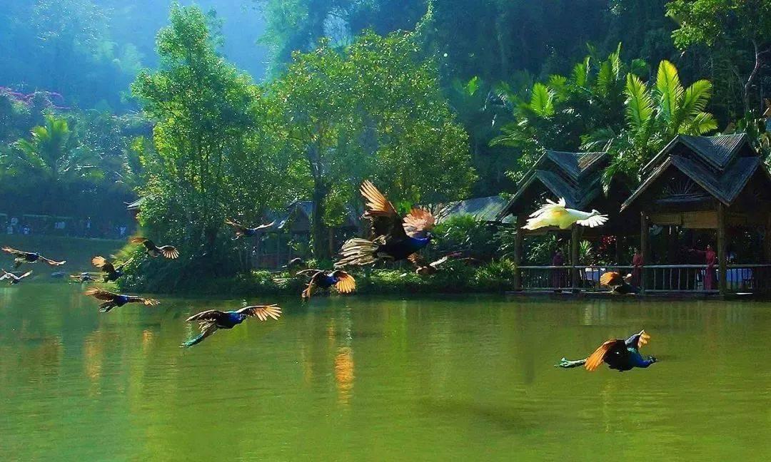 江陵又添一健身广场