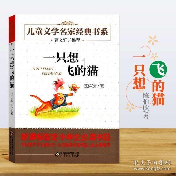 时尚封面照