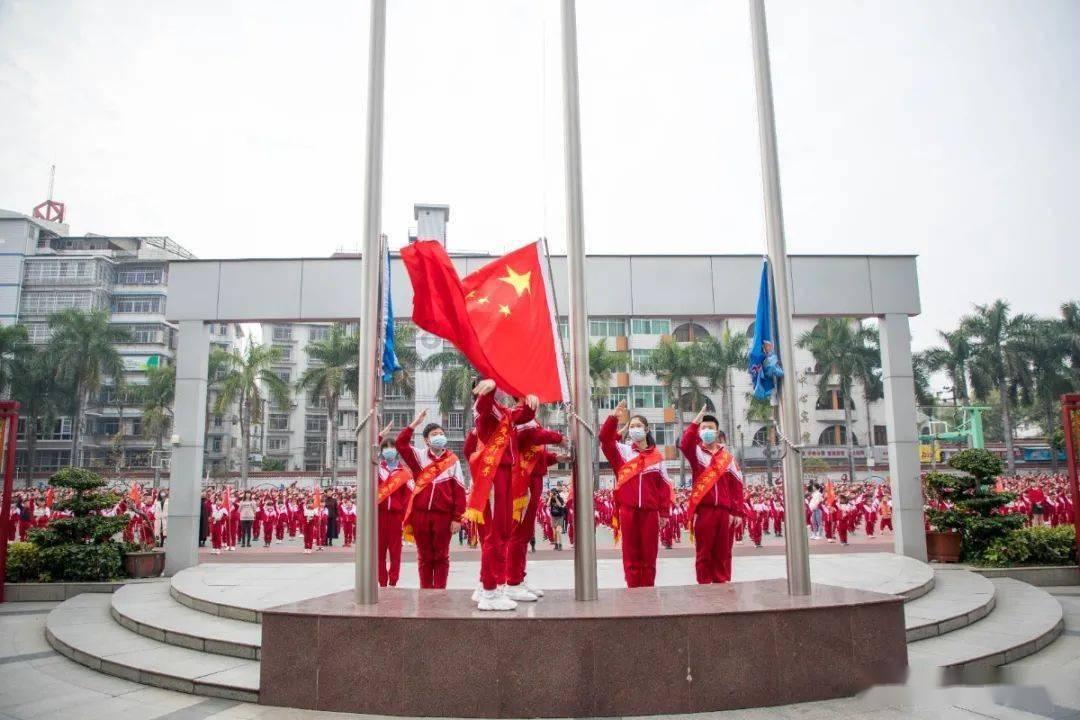 救援小棕兔
