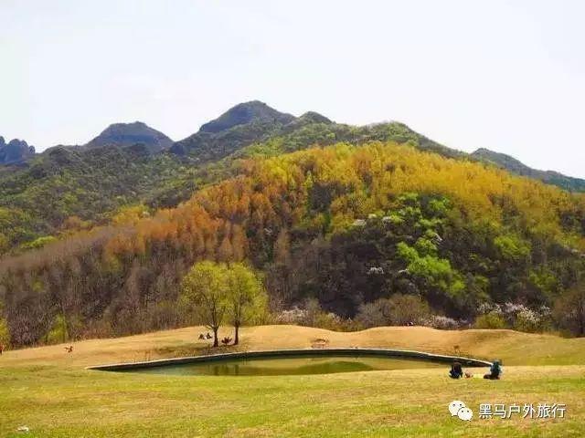 高三得了抑郁症，怎么办？游戏画面