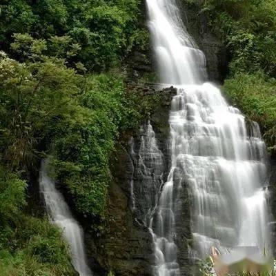 植物大战僵尸6