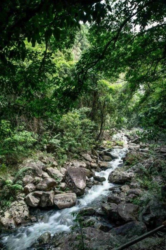 掌握答案,即刻提问——冷知识:坟、墓、冢、陵有什么区别?有问必答平台