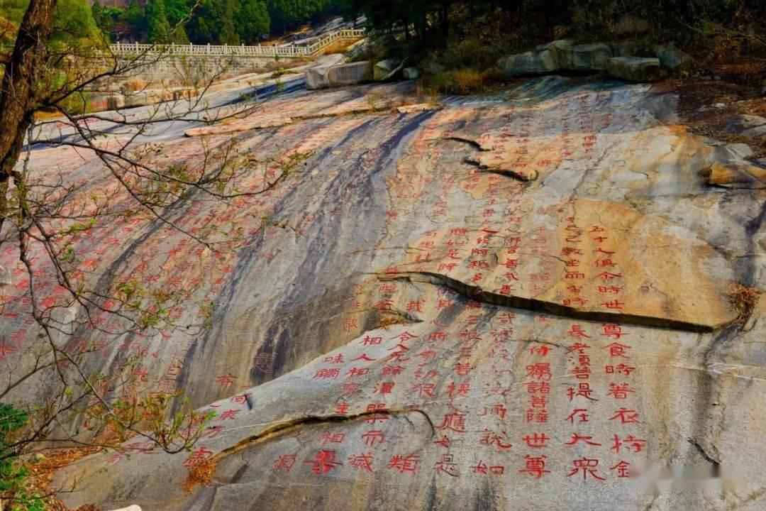 金凯生科(301509.SZ)：110.968万股限售股将于2月5日解禁